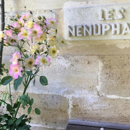 Holiday home Face Riviere Saint-emilion Vignonet