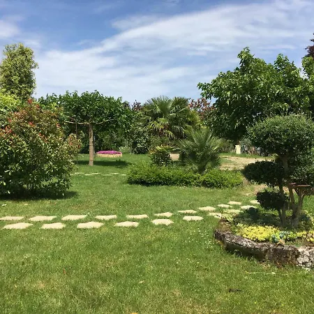 Face Riviere Saint-emilion * Vignonet