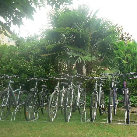 Face Riviere Saint-emilion * Vignonet