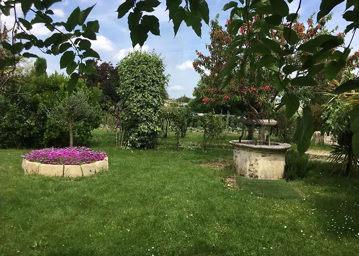 Face Riviere Saint-emilion