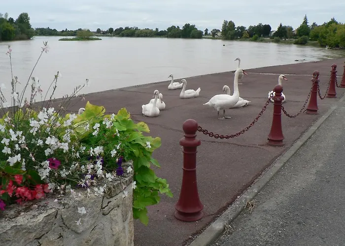 Face Riviere Saint-emilion