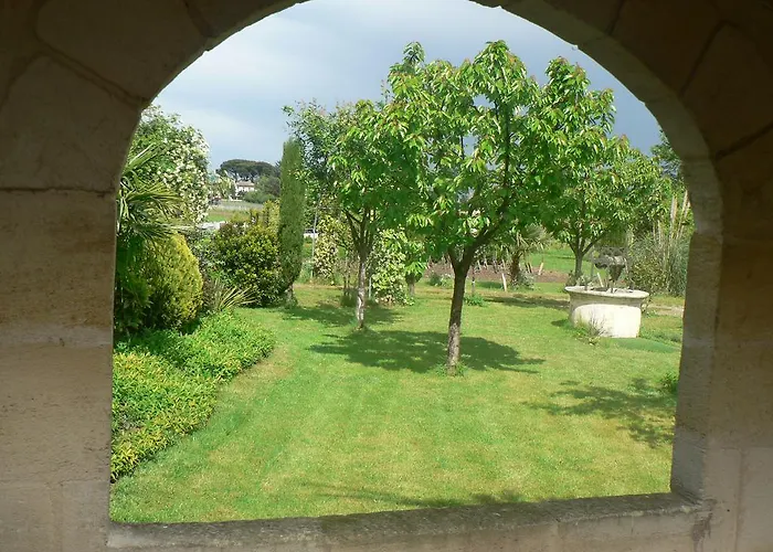 Face Riviere Saint-emilion Vignonet