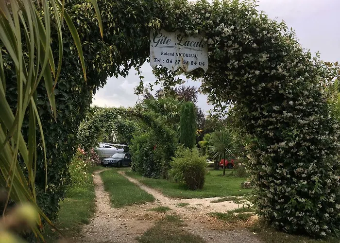 Face Riviere Saint-emilion Vignonet