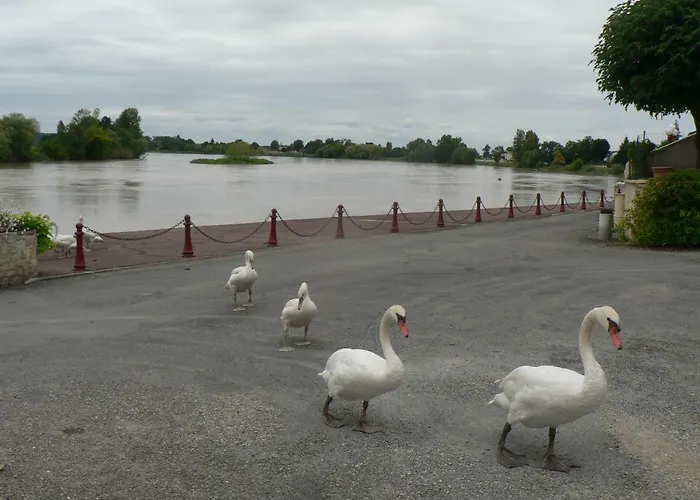 Face Riviere Saint-emilion