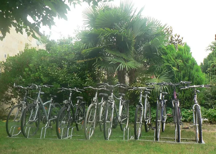 Face Riviere Saint-emilion * Vignonet